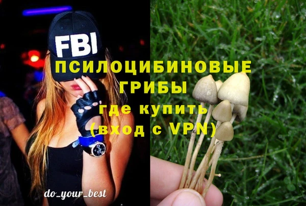 мяу мяу мука Абаза