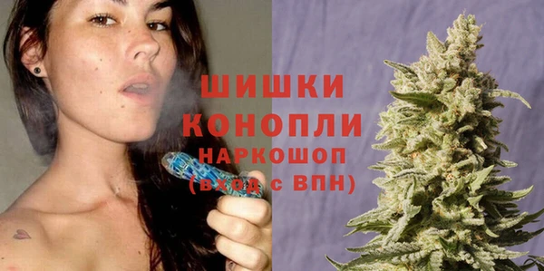 прущие крисы Анива